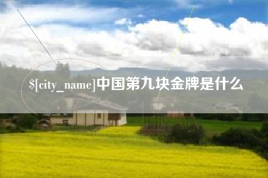 金华中国第九块金牌是什么