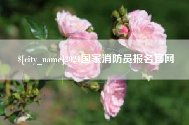 金华2021国家消防员报名官网