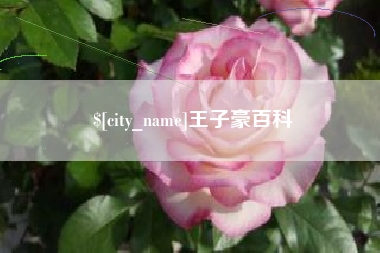 金华王子豪百科