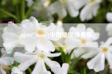 金华中国地图像素版