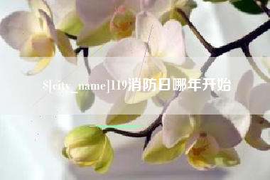 金华119消防日哪年开始