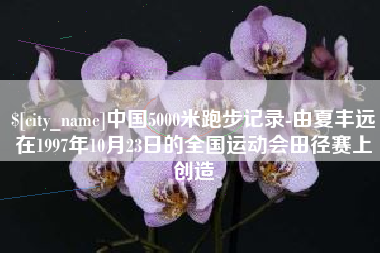 金华中国5000米跑步记录-由夏丰远在1997年10月23日的全国运动会田径赛上创造
