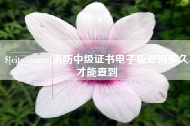 金华消防中级证书电子版查询多久才能查到