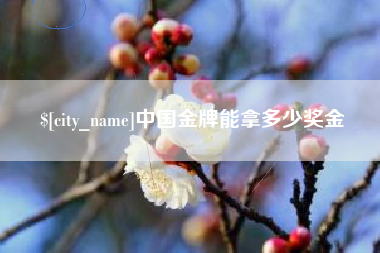 金华中国金牌能拿多少奖金