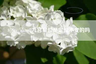 金华九宫星位是定位不变的吗