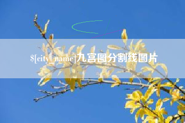 金华九宫图分割线图片