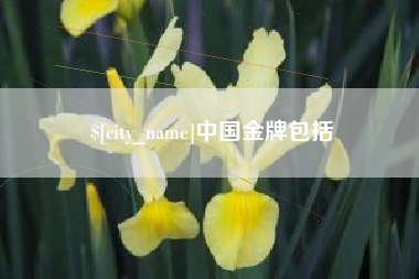 金华中国金牌包括