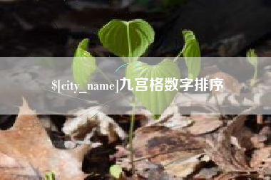 金华九宫格数字排序