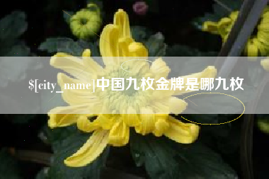 金华中国九枚金牌是哪九枚