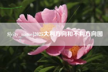 金华2025大利方向和不利方向图