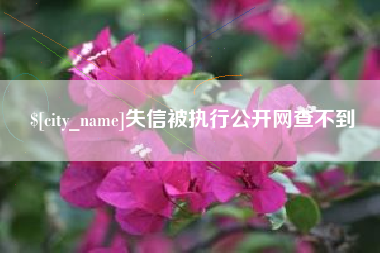 金华失信被执行公开网查不到