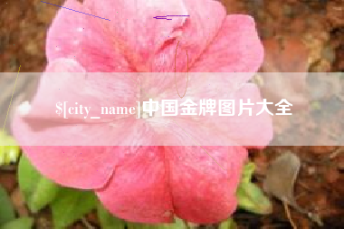 金华中国金牌图片大全