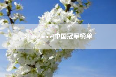 金华中国冠军榜单