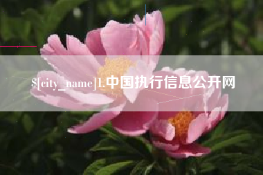 金华1.中国执行信息公开网