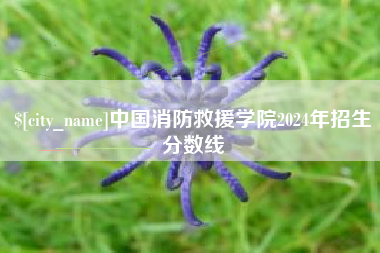 金华中国消防救援学院2024年招生分数线