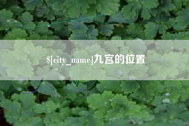 金华九宫的位置