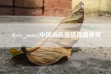 金华中国消防现场直播视频