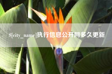 金华执行信息公开网多久更新