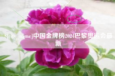 金华中国金牌榜2024巴黎奥运会最新