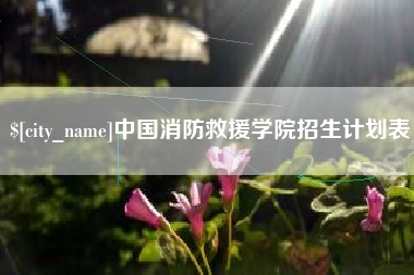 金华中国消防救援学院招生计划表