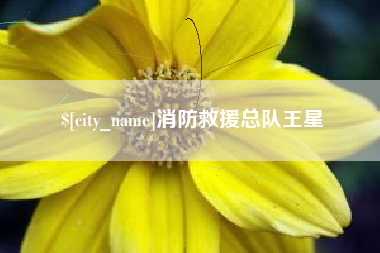 金华消防救援总队王星