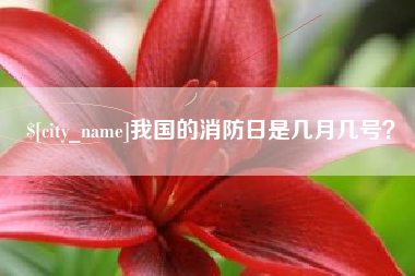 金华我国的消防日是几月几号？