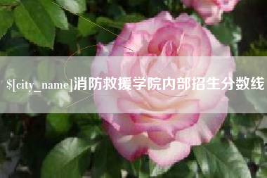金华消防救援学院内部招生分数线