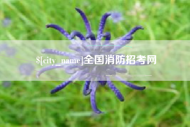 金华全国消防招考网