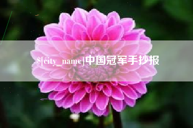 金华中国冠军手抄报