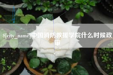 金华中国消防救援学院什么时候政审