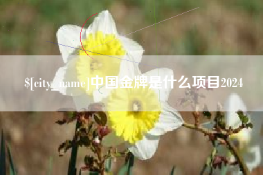 金华中国金牌是什么项目2024