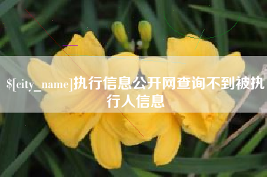 金华执行信息公开网查询不到被执行人信息