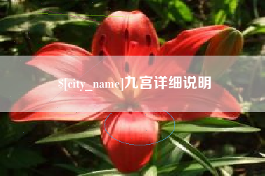 金华九宫详细说明