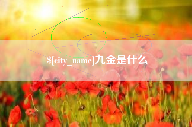 金华九金是什么