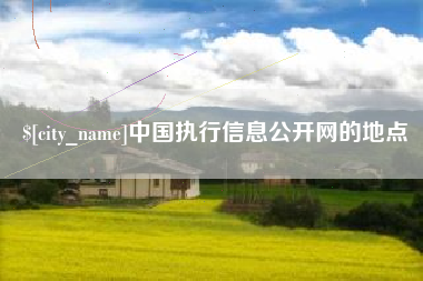 金华中国执行信息公开网的地点