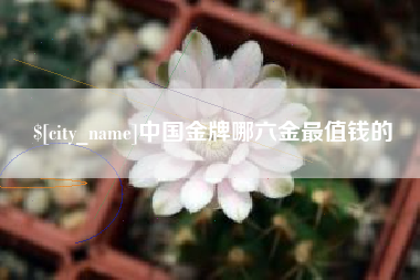 金华中国金牌哪六金最值钱的