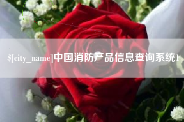 金华中国消防产品信息查询系统1