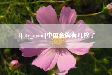 金华中国金牌有几枚了