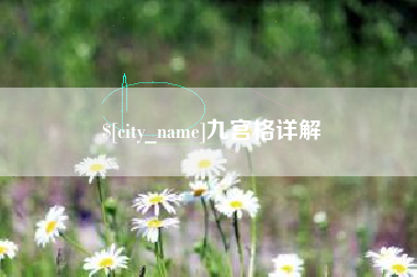金华九宫格详解