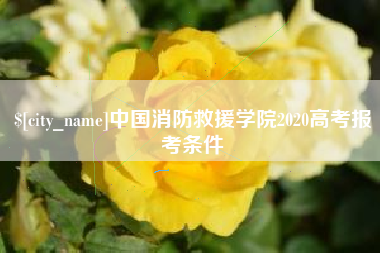 金华中国消防救援学院2020高考报考条件