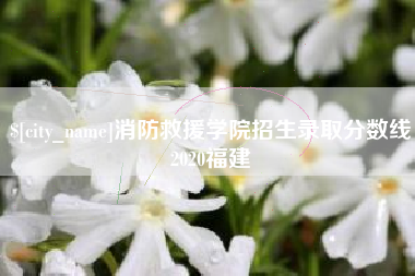 金华消防救援学院招生录取分数线2020福建