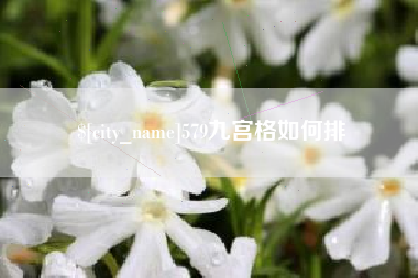 金华579九宫格如何排