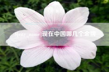 金华现在中国哪几个金牌