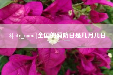 金华全国的消防日是几月几日