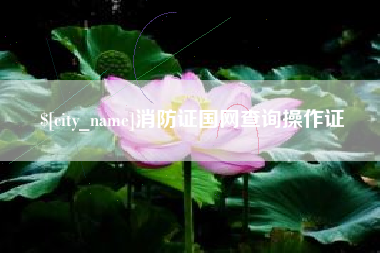 金华消防证国网查询操作证
