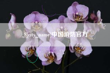 金华中国消防官方