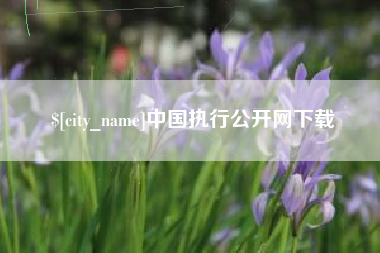 金华中国执行公开网下载