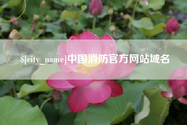 金华中国消防官方网站域名