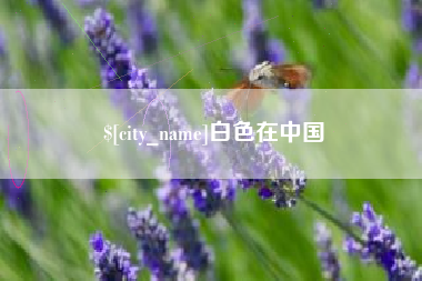 金华白色在中国