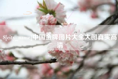 金华中国金牌图片大全大图真实高清